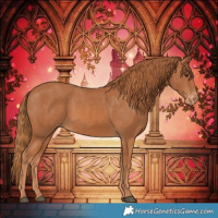 Horse Color:Chestnut Appaloosa