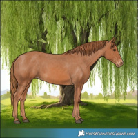 Horse Color:Chestnut Varnish