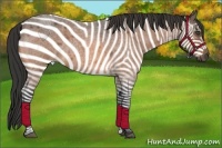 Horse Color:Buckskin Roan Rabicano 