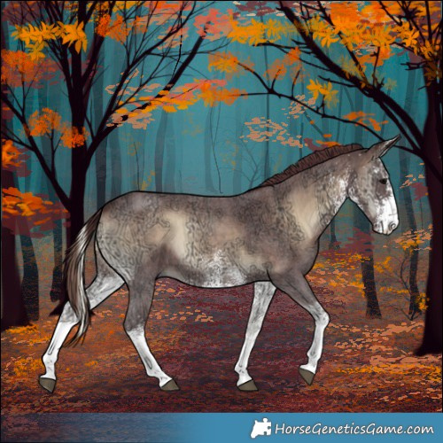 Horse Color:White Spotted Chocolate Brown Ice Onyx Rabicano 