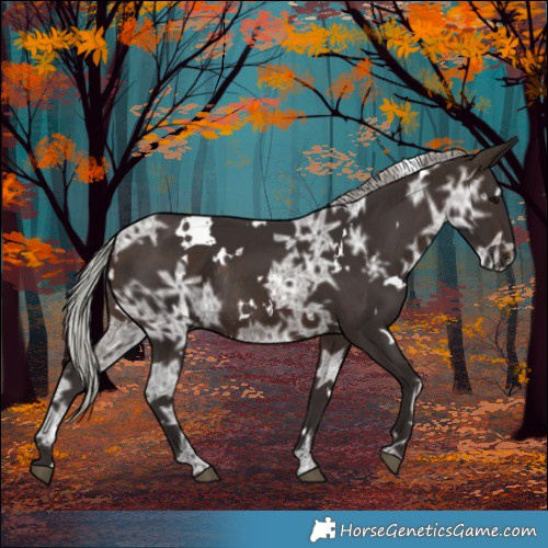 Horse Color:White Spotted Silver Brown Ice Rabicano 