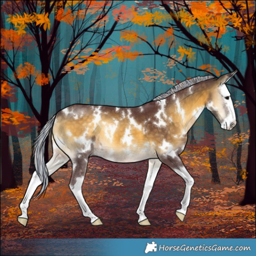 Horse Color:Painted White Spotted Chocolate Silver Buckskin Onyx Splash 