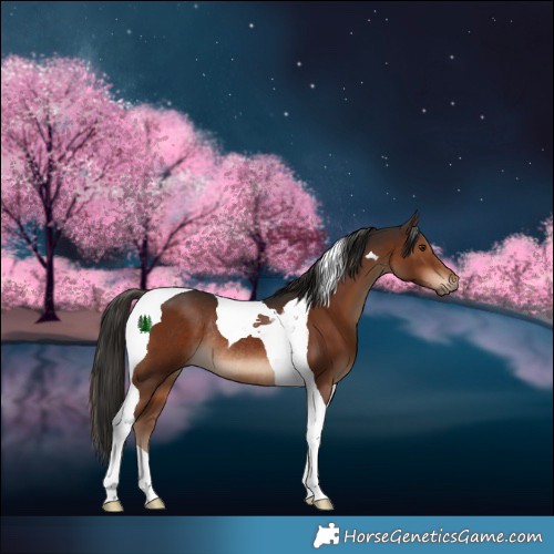 Horse Color:Liver Chestnut Tobiano Rabicano 