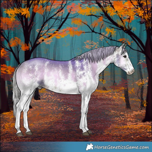 Horse Color:Watercolor White Spotted Silver Brown Onyx Rabicano 
