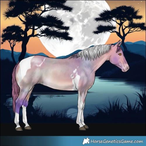 Horse Color:Watercolor Buckskin Dun Tobiano Varnish 