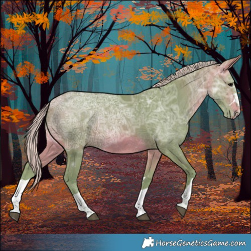 Horse Color:Watercolor Silver Bay Ice 