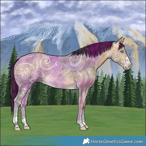 Horse Color:Sable Cream Champagne Ice 
