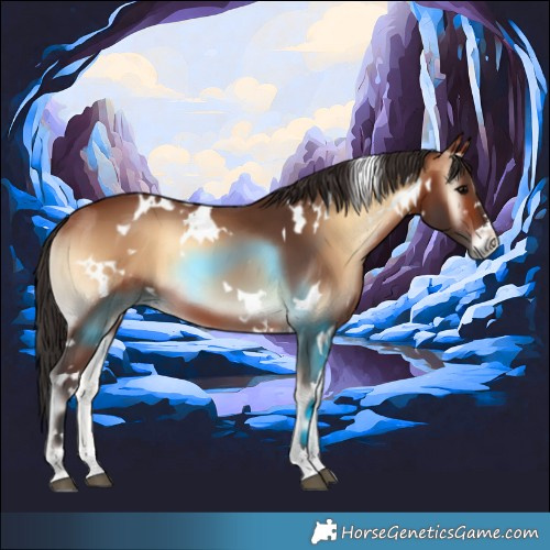 Horse Color:White Spotted Bay Onyx 