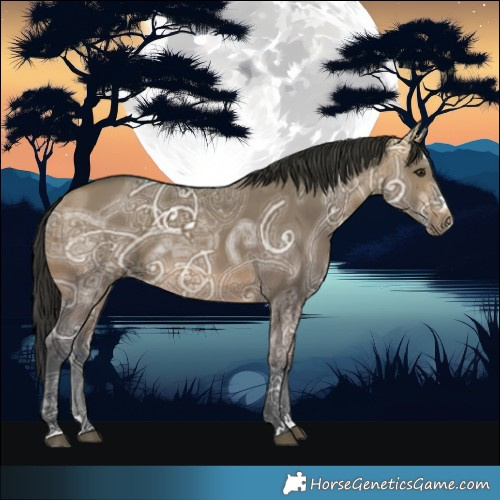 Horse Color:Bay Ice Dun 