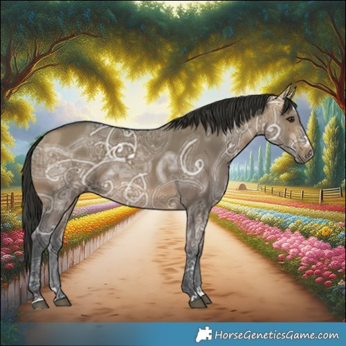 Horse Color:Bay Ice Dun 