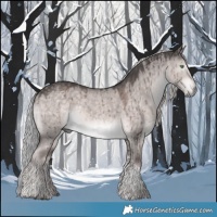 Horse Color:Platinum Chocolate Palomino Dun Tobiano Brindle