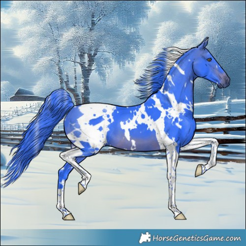 Horse Color:Platinum Watercolor White Spotted Brown Tobiano 