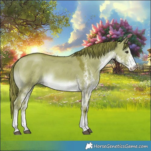 Horse Color:Platinum Watercolor White Spotted Liver Red Dun 