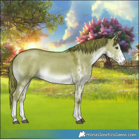 Horse Color:Platinum Watercolor White Spotted Liver Red Dun 
