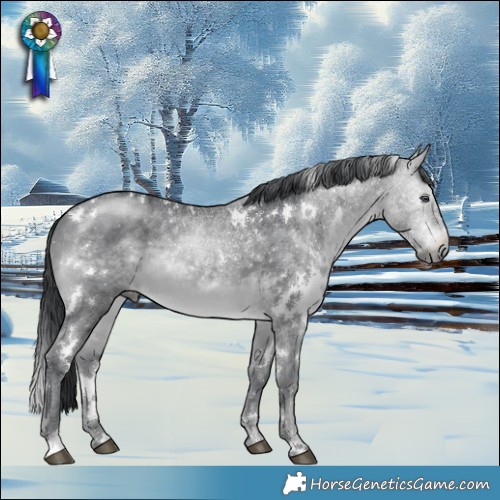 Horse Color:White Spotted Brown Chinchilla 