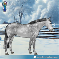Horse Color:White Spotted Brown Chinchilla 