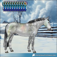 Horse Color:White Spotted Brown Chinchilla