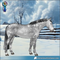 Horse Color:White Spotted Brown Chinchilla 