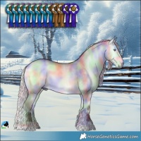Horse Color:Nacre Chocolate Silver Buckskin Chinchilla Onyx 