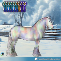 Horse Color:Nacre Chocolate Silver Buckskin Chinchilla Onyx 