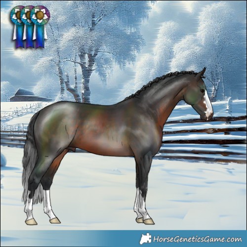 Horse Color:Brown 