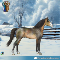Horse Color:Buckskin Mushroom Sabino