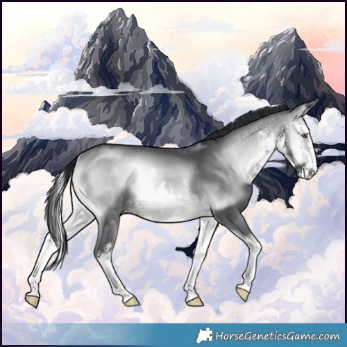 Horse Color:White Spotted Brown Chinchilla Onyx Rabicano 