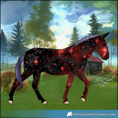 Horse Color:ERROR: UNKNOWN ANOMALY