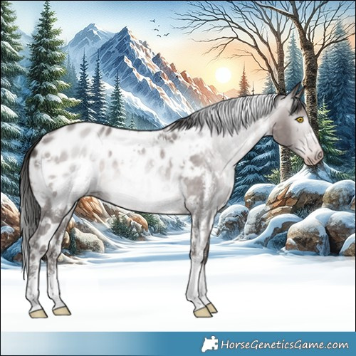 Horse Color:Gray Platinum White Spotted Sable Champagne Sabino Blanket 