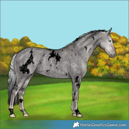 Horse Color:Void Platinum White Spotted Chocolate Palomino Roan Dun 