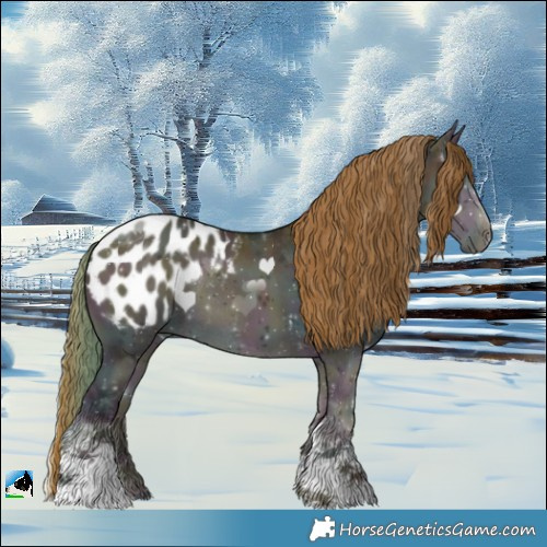 Horse Color:Midnight Buckskin Ice Onyx Tobiano Blanket Rabicano