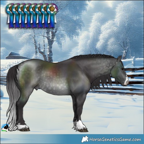 Horse Color:Platinum Buckskin Rabicano 