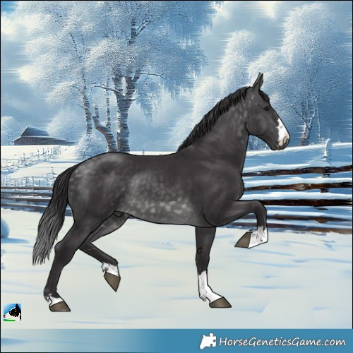 Horse Color:Platinum Buckskin Rabicano 