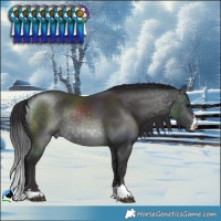 Horse Color:Platinum Buckskin Rabicano 
