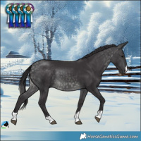 Horse Color:Platinum Buckskin Rabicano