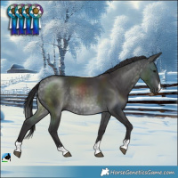 Horse Color:Platinum Buckskin Rabicano