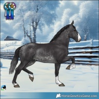 Horse Color:Platinum Buckskin Rabicano 