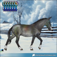 Horse Color:Platinum Buckskin Rabicano
