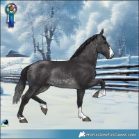 Horse Color:Platinum Buckskin Rabicano 