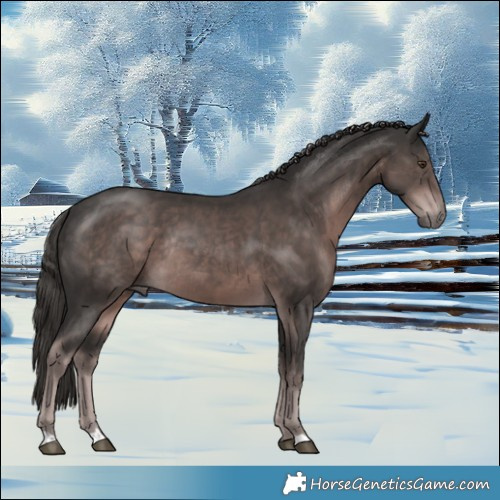 Horse Color:Platinum Liver Chestnut Rabicano 