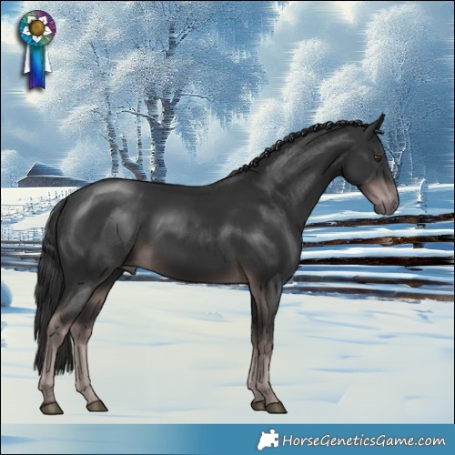 Horse Color:Platinum Liver Chestnut Rabicano 