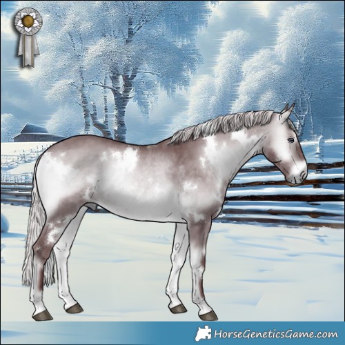Horse Color:White Spotted Chocolate Silver Brown Chinchilla Onyx 