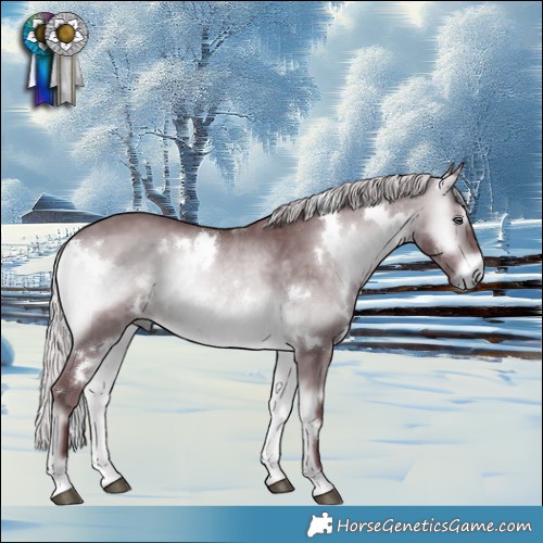 Horse Color:White Spotted Chocolate Silver Brown Chinchilla Onyx 