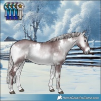 Horse Color:White Spotted Chocolate Silver Brown Chinchilla Onyx 