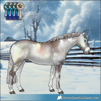 Horse Color:White Spotted Chocolate Silver Brown Chinchilla Onyx