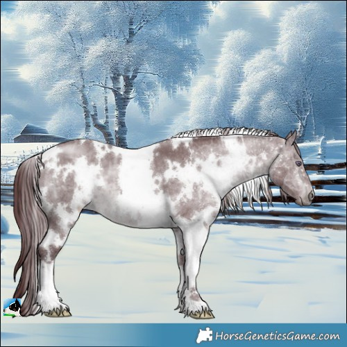 Horse Color:White Spotted Chocolate Brown Chinchilla Ice 