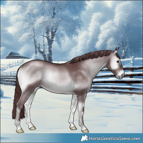 Horse Color:Chocolate Blue Onyx Chinchilla 