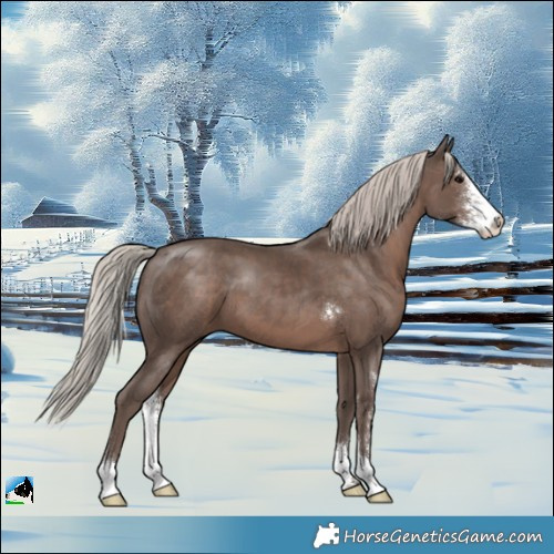 Horse Color:Silver Black Sabino 
