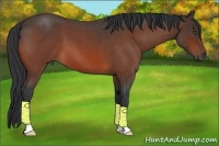 Horse Color:Bay Roan 