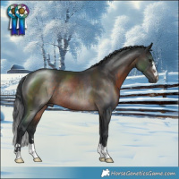 Horse Color:Brown Mushroom Rabicano